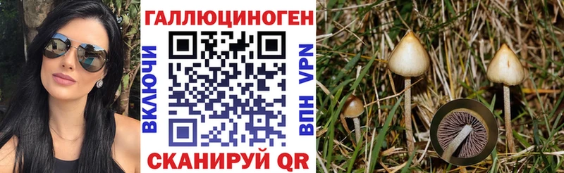 Галлюциногенные грибы прущие грибы  Купить где  Богучар 