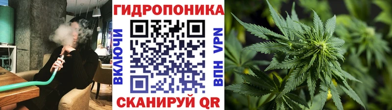 Шишки марихуана Amnesia  Купить  Богучар 